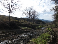 cantara piccole gole30122011 201